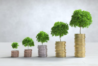 Panduan Lengkap Diversifikasi Portofolio Investasi untuk Pemula Apa Itu Diversifikasi Dalam Investasi Keuangan