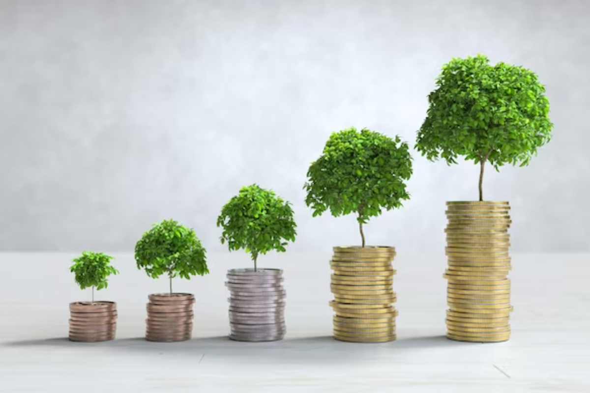 Panduan Lengkap Diversifikasi Portofolio Investasi untuk Pemula Apa Itu Diversifikasi Dalam Investasi Keuangan